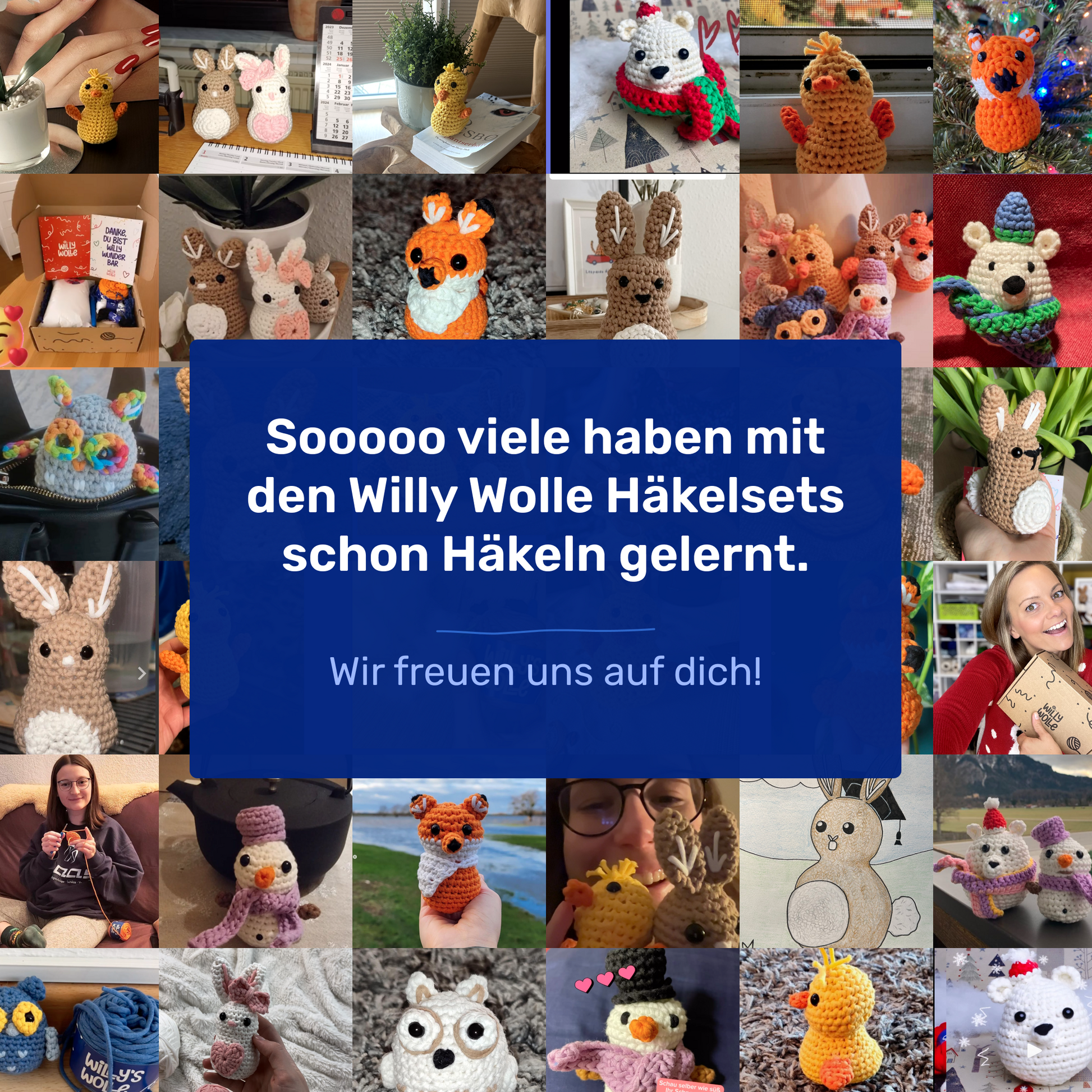 Willy Wolle Häkelset für Neulinge Familie Hase Anfaenger Lernen Haekeln Video Anleitung